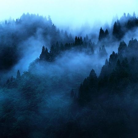 "Mount'N Mist" Leilighet Ella Eksteriør bilde