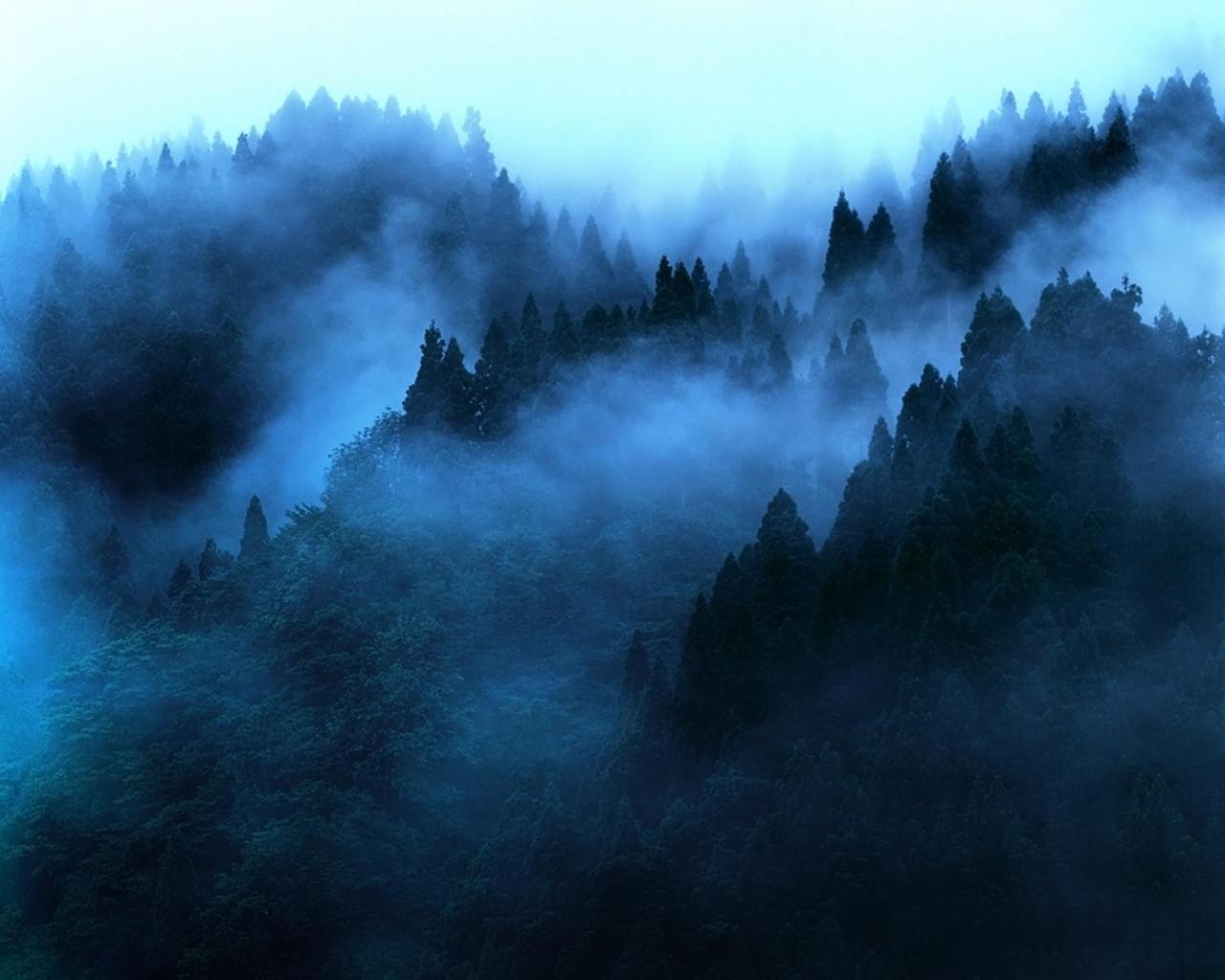 "Mount'N Mist" Leilighet Ella Eksteriør bilde