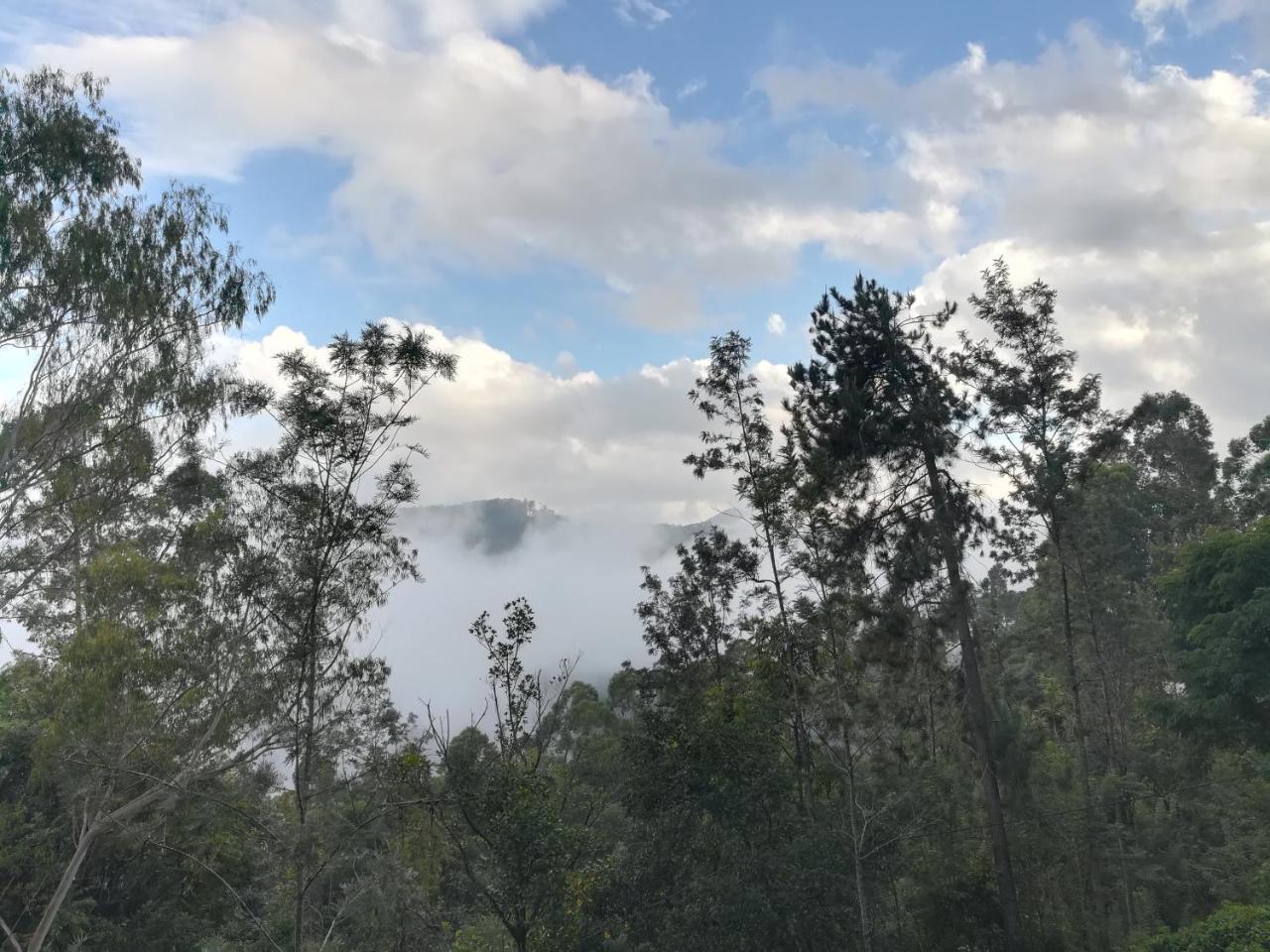 "Mount'N Mist" Leilighet Ella Eksteriør bilde